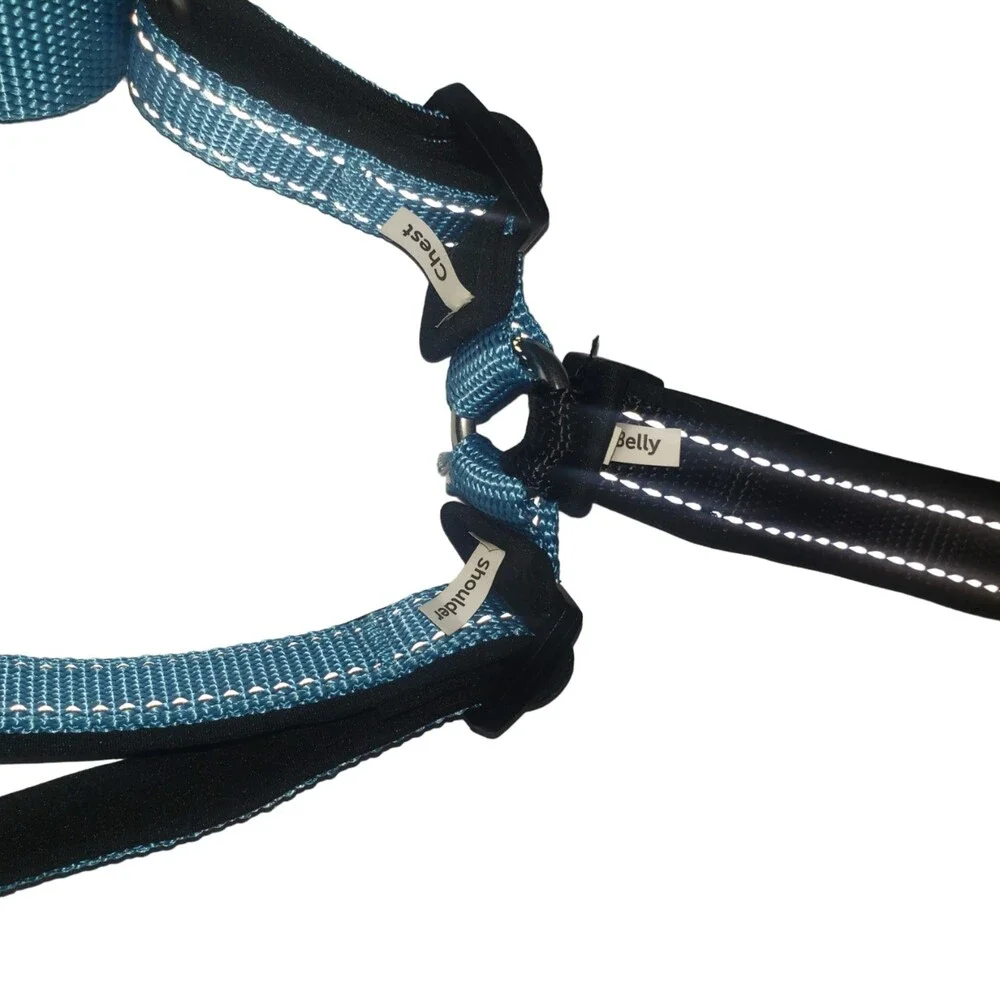 PET SAFE Easy Walk Blue Dog Harness Size Medium NEW